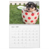 Dog Kalender 2024 mit Ihren Fotos (Mär 2027)