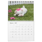 Dog Kalender 2024 mit Ihren Fotos (Feb 2027)