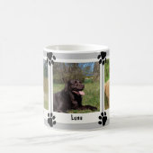 Dog-Katze Pads 3 Vintage Sofortbilder Kaffeetasse (Mittel)