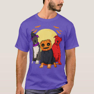 Dog Labrador Pumpkin Head Lazy Halloween Kostüm C T-Shirt