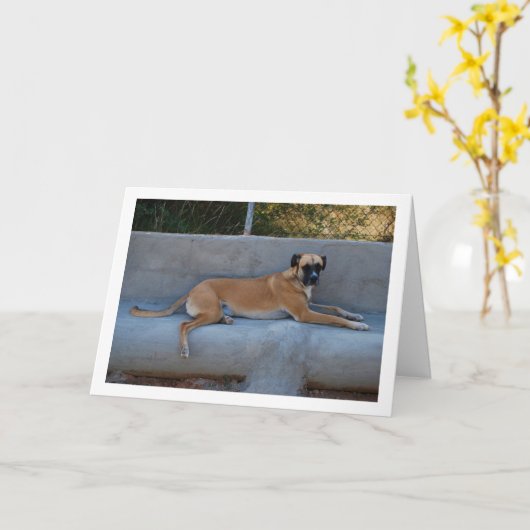 Dog Lay Portrait Karte (Gelbe Blume)