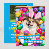 Dog Laying on Easter Eggs Einladung (Vorne/Hinten)
