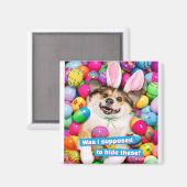 Dog Laying on Easter Eggs Magnet (Vorderseite/Rückseite)