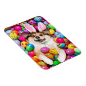 Dog Laying on Easter Eggs Magnet (Rechte Seite)