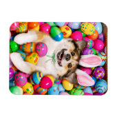 Dog Laying on Easter Eggs Magnet (Horizontal)