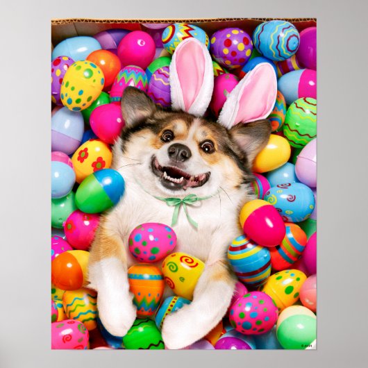 Dog Laying on Easter Eggs Poster (Vorne)