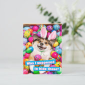 Dog Laying on Easter Eggs Postkarte (Stehend Vorderseite)