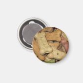 Dog Leckereien Magnet (Vorderseite/Rückseite)