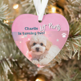 Dog Let's Party Birthday Ornament
