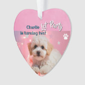 Dog Let's Party Birthday  Ornament (Vorderseite)