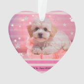 Dog Let's Party Birthday Ornament (Rückseite)