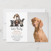 Dog Let's Pawty Birthday Foto Einladung (Vorderseite)