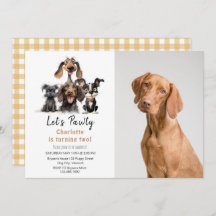Dog Let's Pawty Birthday Foto
