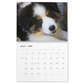 Dog Lover Gemischter Grenzkalender Kalender (Mär 2026)