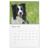 Dog Lover Gemischter Grenzkalender Kalender (Feb 2027)