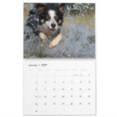 Dog Lover Gemischter Grenzkalender Kalender (Jan 2027)