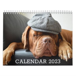 Dog Lover-Kalender Kalender