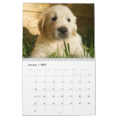 Dog Lover-Kalender Kalender (Jan 2027)