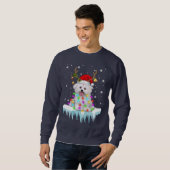 Dog Lover [maltese Christmas Fairy Light In Winter Sweatshirt (Vorne ganz)