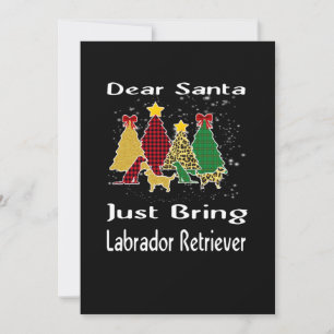 Dog Lover Sehr geehrte Santa Just bringen Labrador Karte