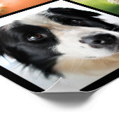 Dog Lover's Poster (Ecke)