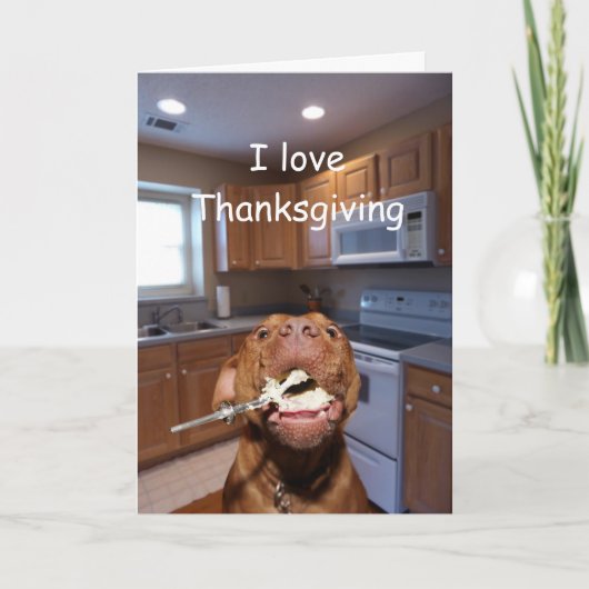 Dog loves Thanksgiving Feiertagskarte (Vorderseite)
