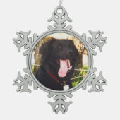 Dog Luke Schneeflocken Zinn-Ornament (Vorderseite)
