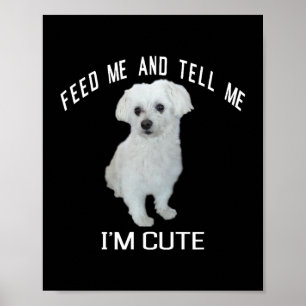 Dog maltesisch Niedlich maltesischer Hund Funny Qu Poster