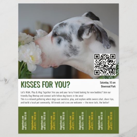 dog meetup tear-off flyer template (Vorne)