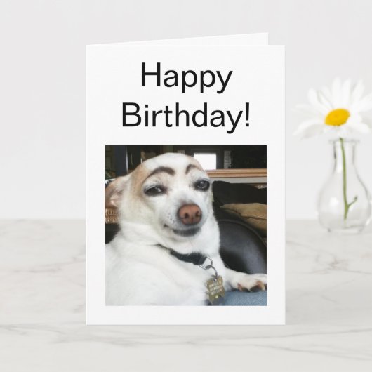 Dog Meme für geklappte Karten (Kleine Pflanze)