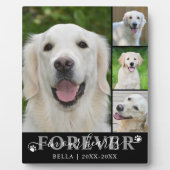 Dog Memorial 4 Foto Forever in unseren Herzen Fotoplatte (Vorderseite)