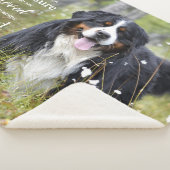 Dog Memorial Modernes Foto Beileid Pet Loss Sherpadecke (3/4)