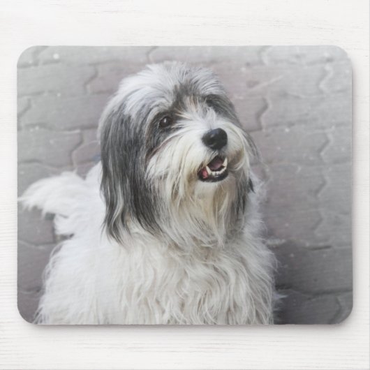 Dog Mouse Pad Mousepad (Vorne)