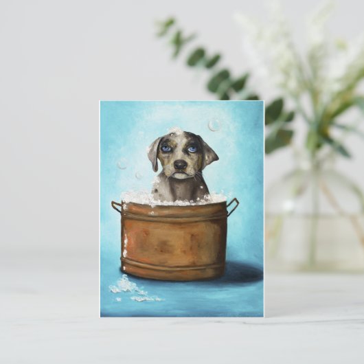 Dog n Suds Postkarte (Stehend Vorderseite)