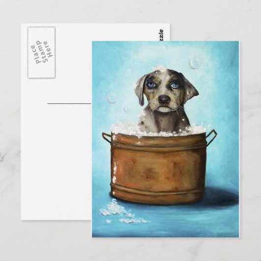 Dog n Suds Postkarte (Vorne/Hinten)