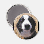 Dog Nose Foto Magnete Magnet (Vorderseite/Rückseite)