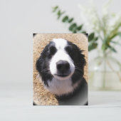 Dog Nose Postkarten (Stehend Vorderseite)