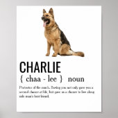 Dog Noun Definition Hunde Mama Vater Hund Lover Be Poster (Vorne)