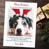 Dog Oma Funny Personalisiert Pet Foto Weihnachten