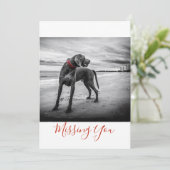 Dog on Beach B&W Foto Vermisste Sie eine Seite Kar Karte (Stehend Vorderseite)