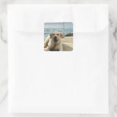 "Dog on Dock" Labrador Foto Sticker (Tasche)