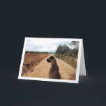 Dog on Dusty Road Karte<br><div class="desc">Dog on Dusty Road Greeting Card. You can easily customize this product for free if you would like to add wording or change the color of the background.</div>
