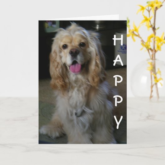 "DOG ON GOOD BIRTHDAY" sagt COCKER SPANIEL Karte (Gelbe Blume)