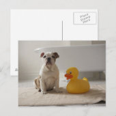 Dog on mat with plastic duck postkarte (Vorne/Hinten)