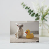 Dog on mat with plastic duck postkarte (Stehend Vorderseite)