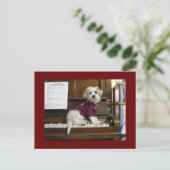 Dog on piano postkarte (Stehend Vorderseite)