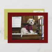 Dog on piano postkarte (Vorne/Hinten)