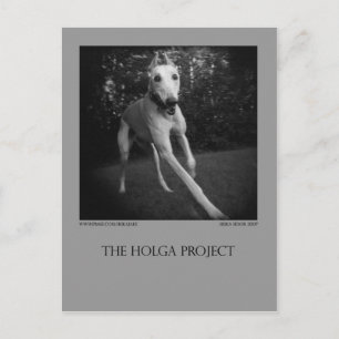 Dog Park Postcard 11 Postkarte