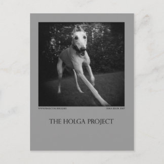 Dog Park Postcard 11 Postkarte