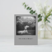 Dog Park Postcard 12 Postkarte (Stehend Vorderseite)
